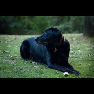 Meet your Posher, Miranda